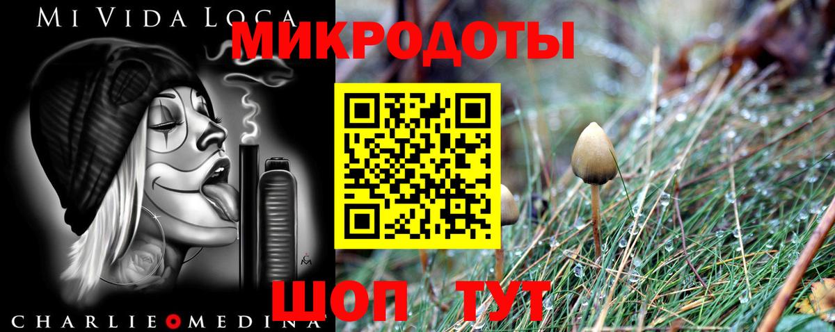 Галлюциногенные грибы ЛСД Ноябрьск